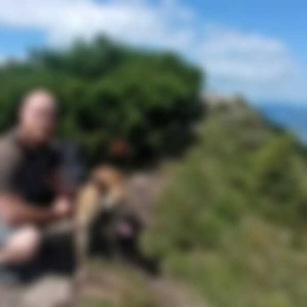 syncmastersa300hammel