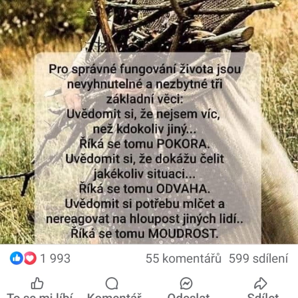 Ilona